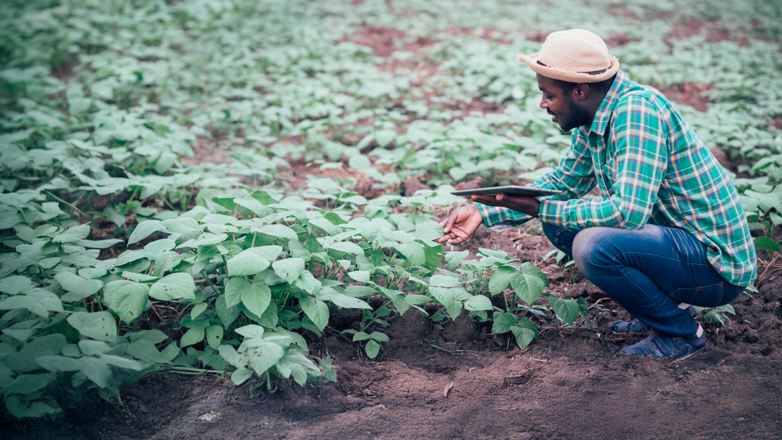 Website Support UK logo